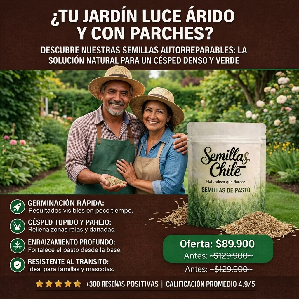 Césped Autoreparable: El Secreto de un Jardín Eterno